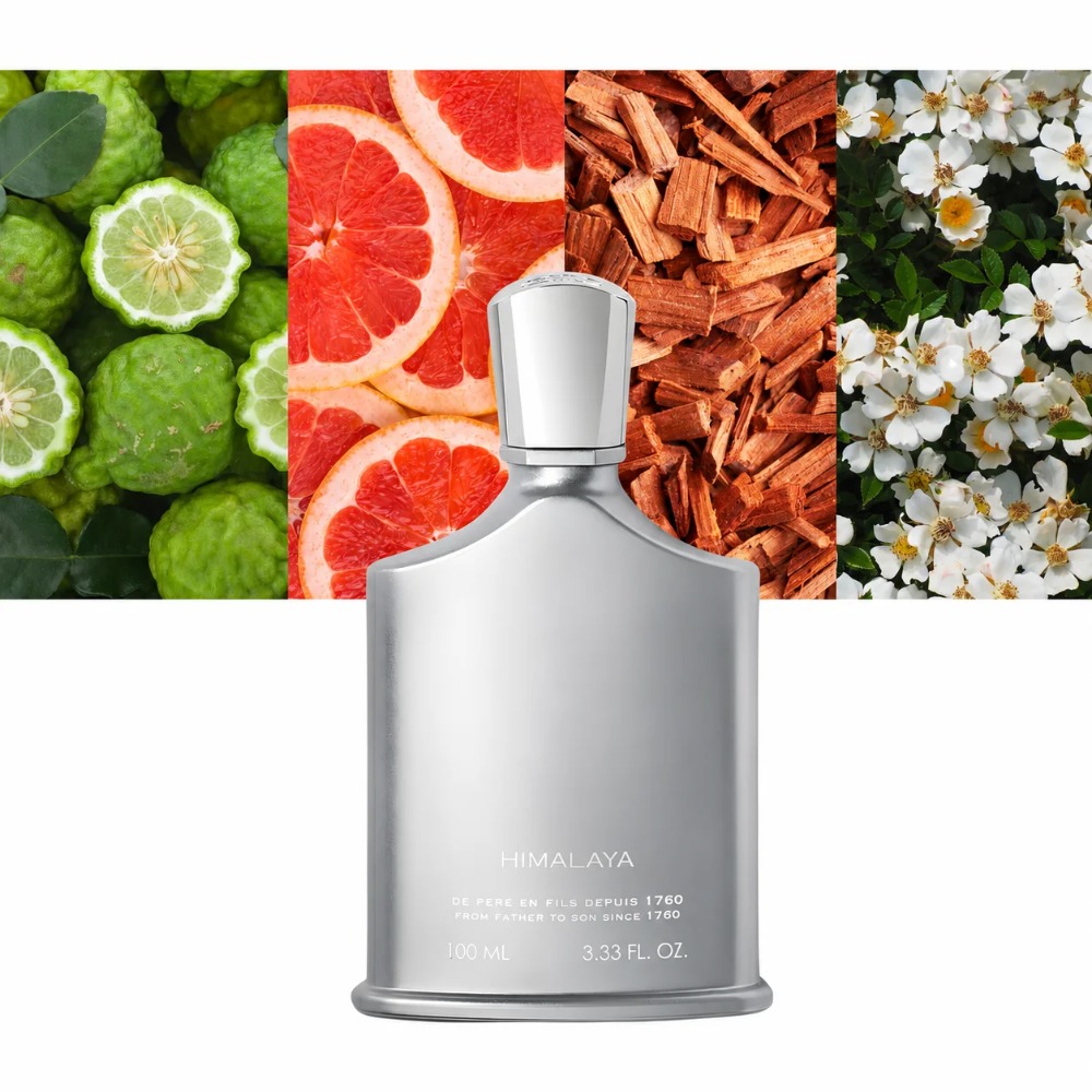 Aventus Fragrance For Men 100m - Perfume Luxury Fragrance recension och pris
