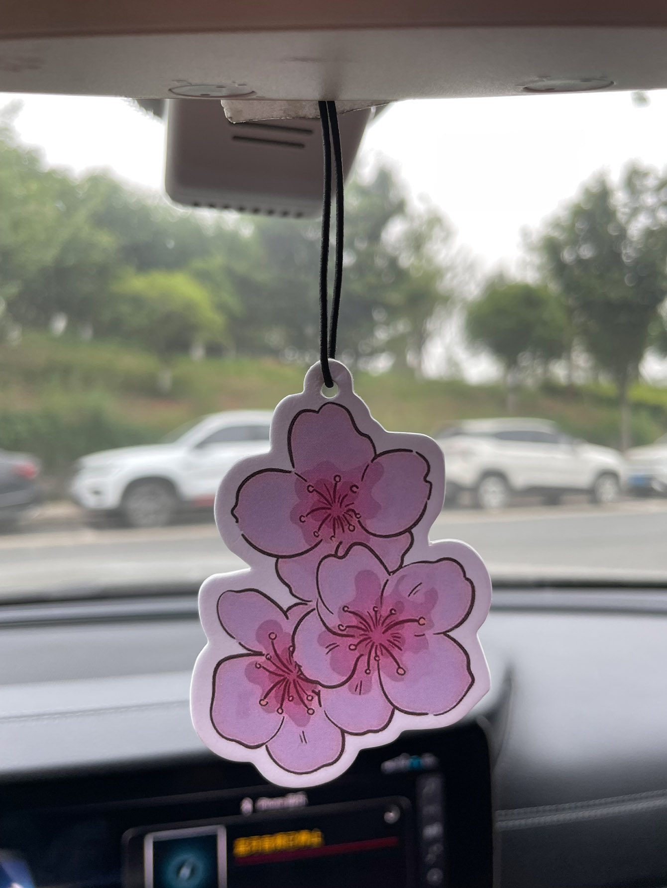 Sakura/Freesia Fresh Scent Fiv - Perfume Fragrance Type recension och pris